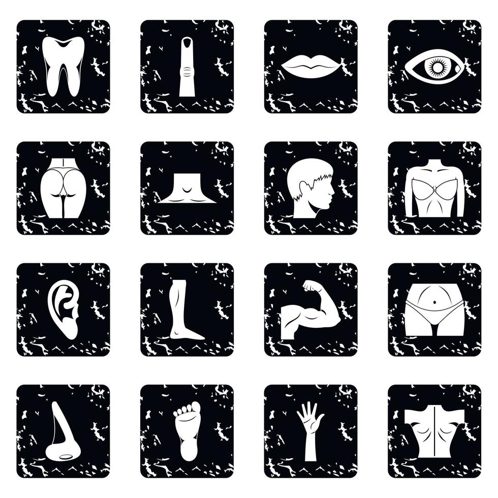 Body parts icons set vector
