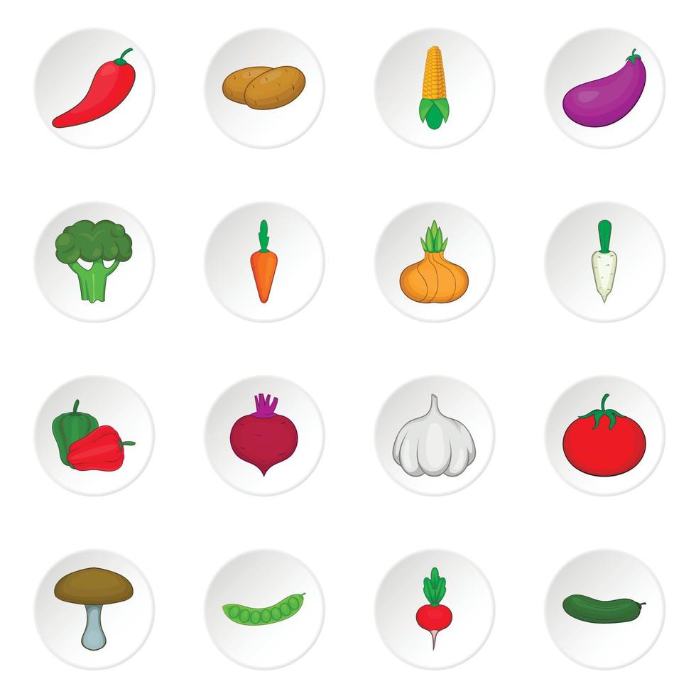 Vegetables studio icons set vector