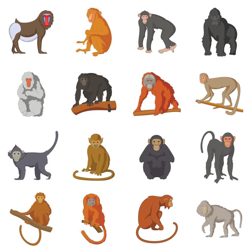 Different monkeys icons set, cartoon style vector