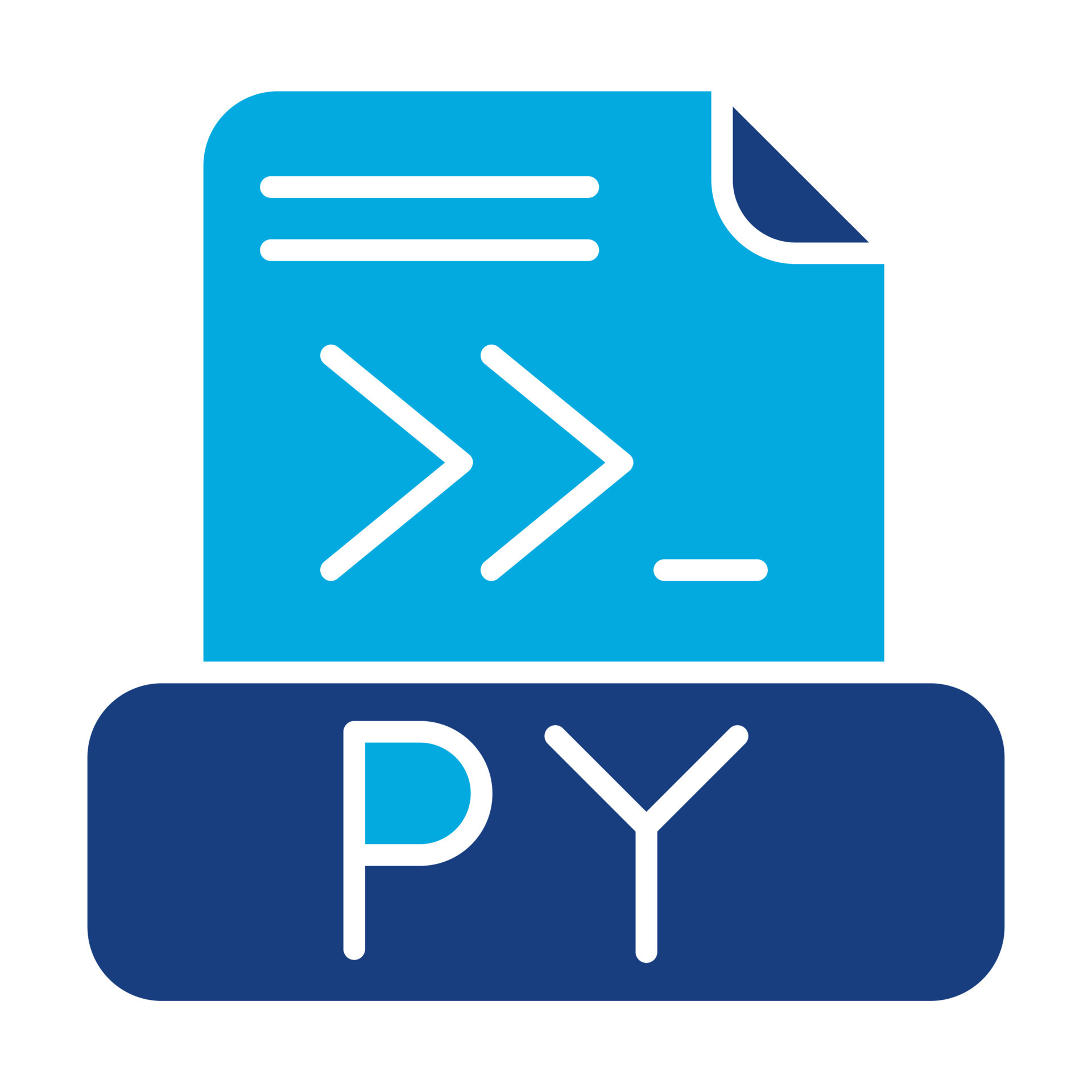 Python File Glyph Two Color Icon 8904438 Vector Art at Vecteezy