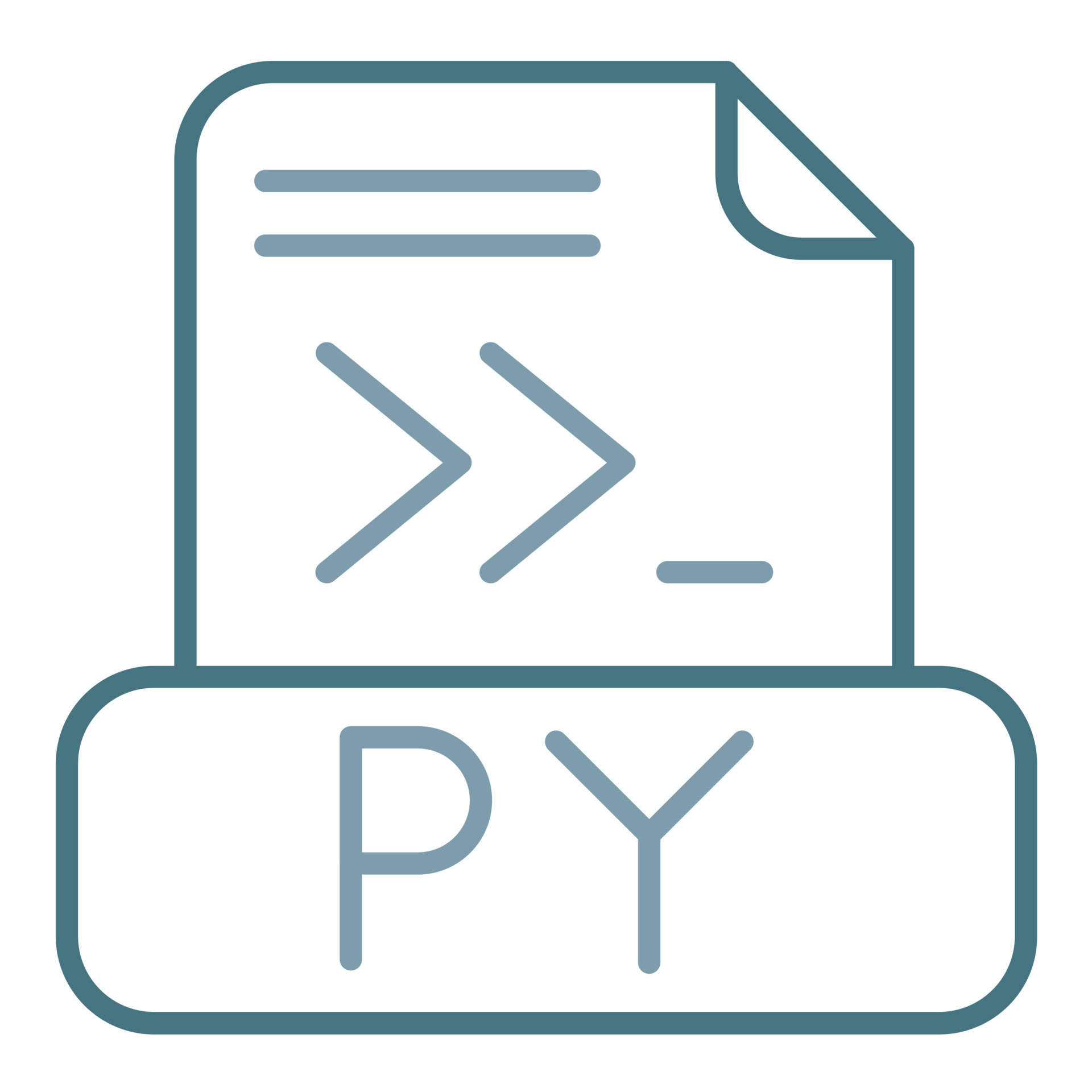 Python File Line Two Color Icon 8904883 Vector Art at Vecteezy