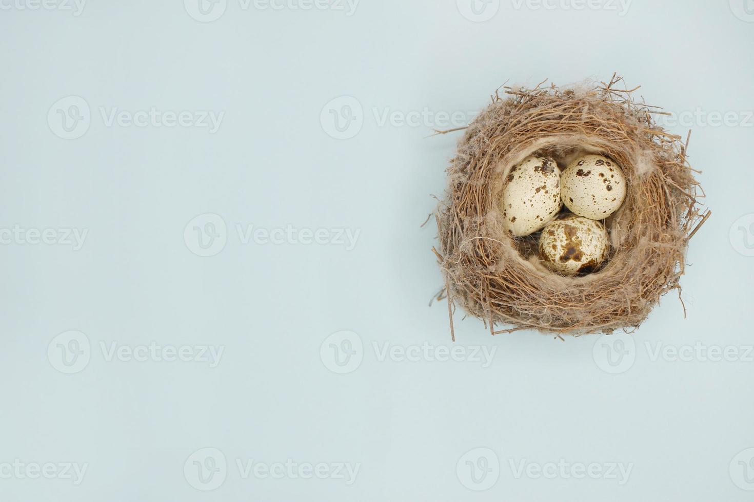 Happy Easter. Beautiful colorful quail eggs in bird nest on light blue background, close up. Copy space for text, flat lay. Minimal Easter composition. Springtime. photo