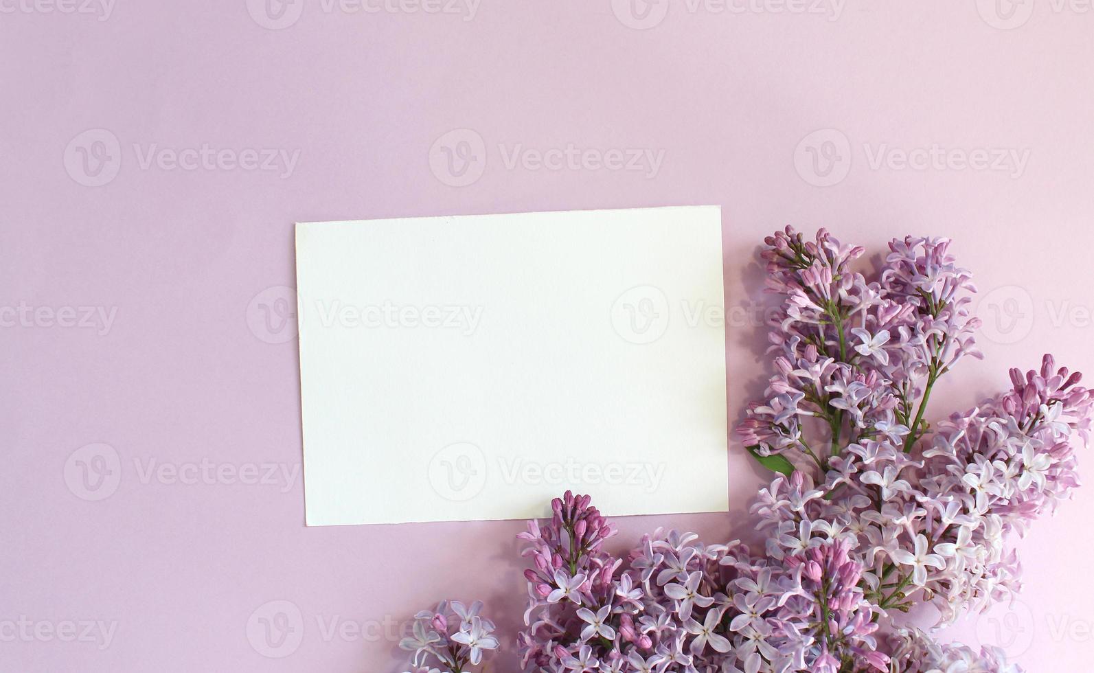Lilac flowers on color background. Spring is coming concept. Text space. Mock up. photo