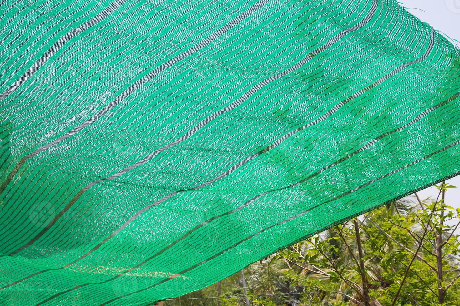Green Shading Net protect sun light photo