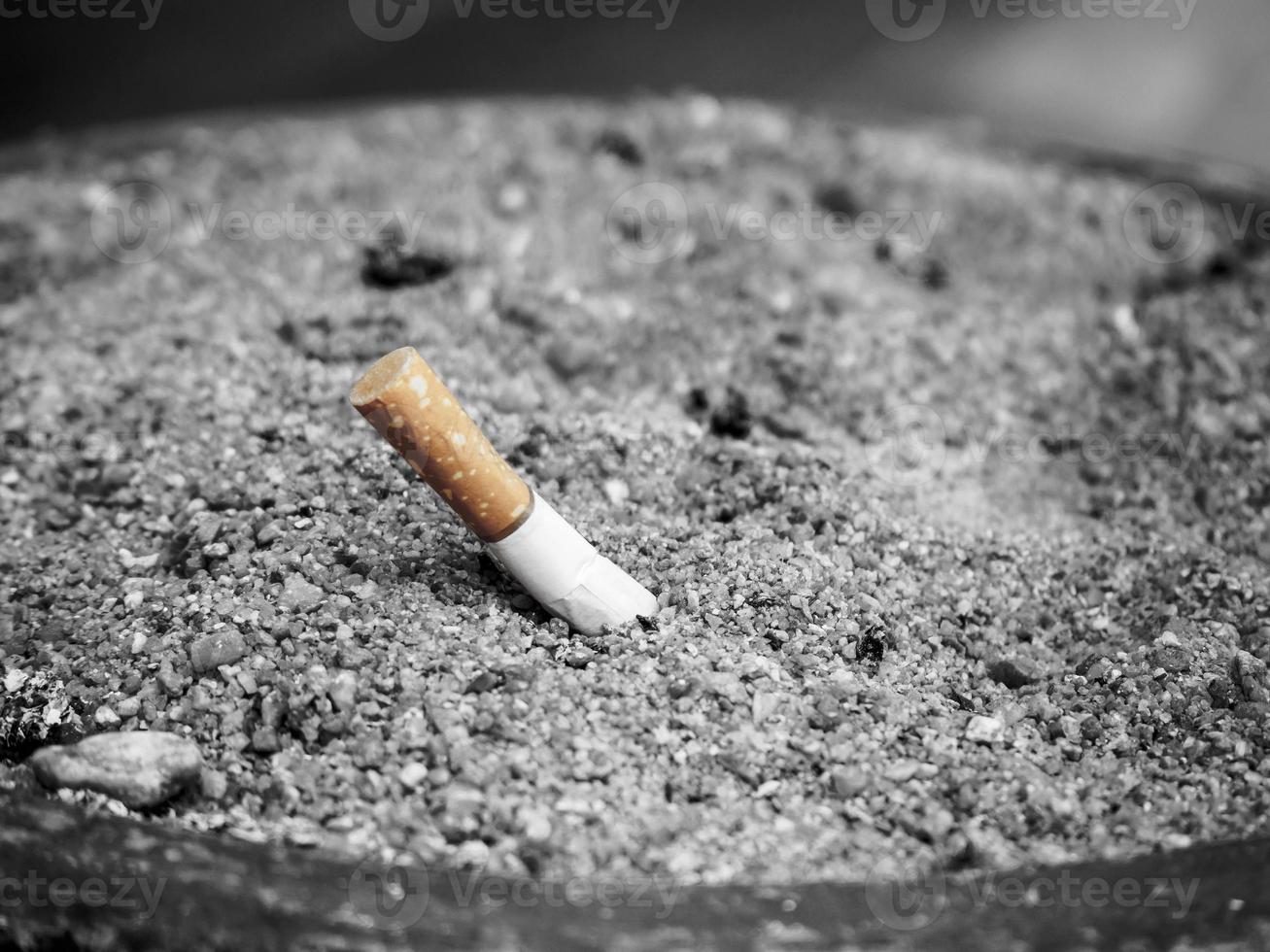 Tobacco Cigarette butt photo