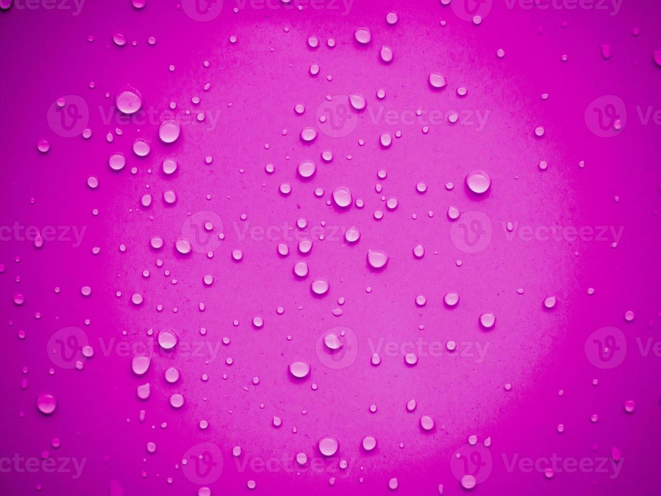 Water drops on pink background photo