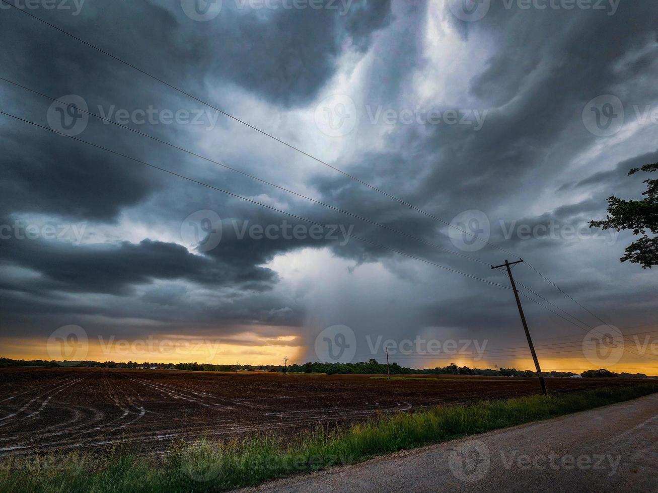 Down Pour in field photo