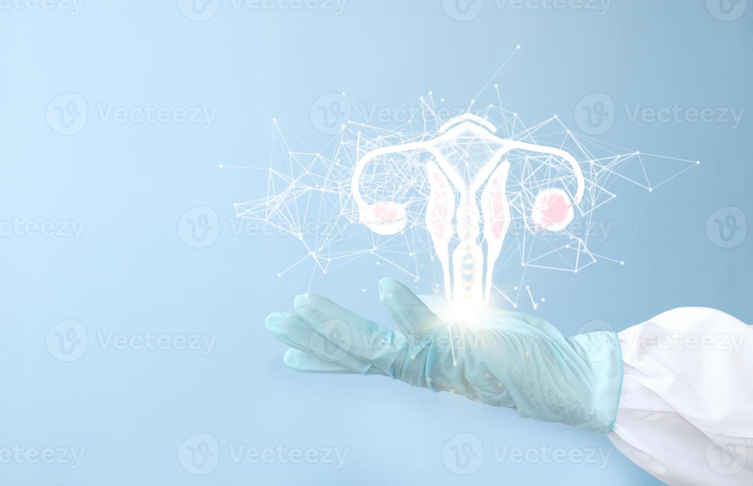 Doctor and female uterine organ hologram modern medicine, gynecology, obstetrics, pregnancy, medical examination, women's consultation, ultrasound photo