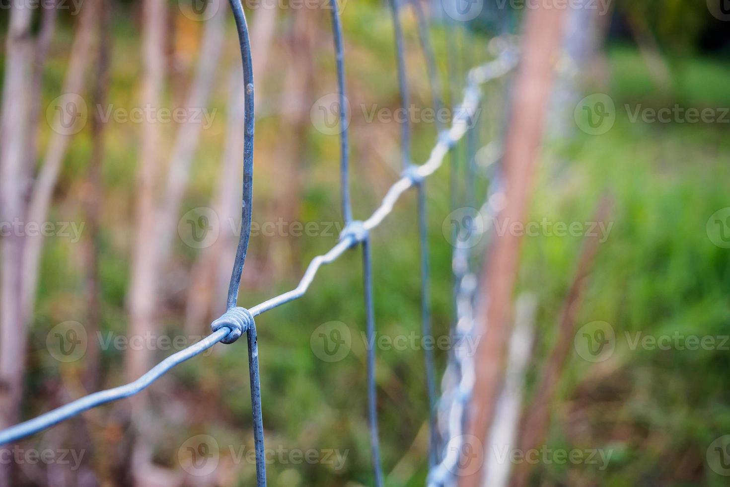 alambre de cerca de metal y hierba verde foto