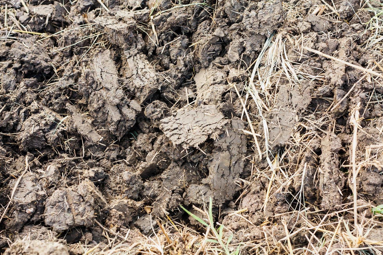 soil texture background photo