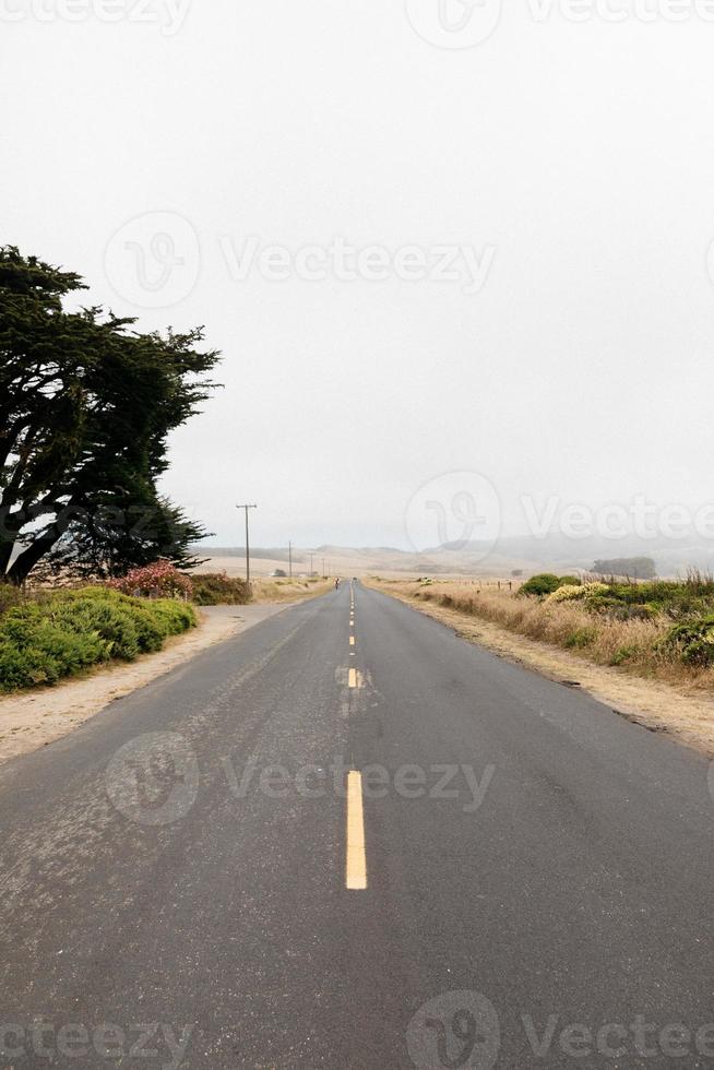 camino en la costa foto