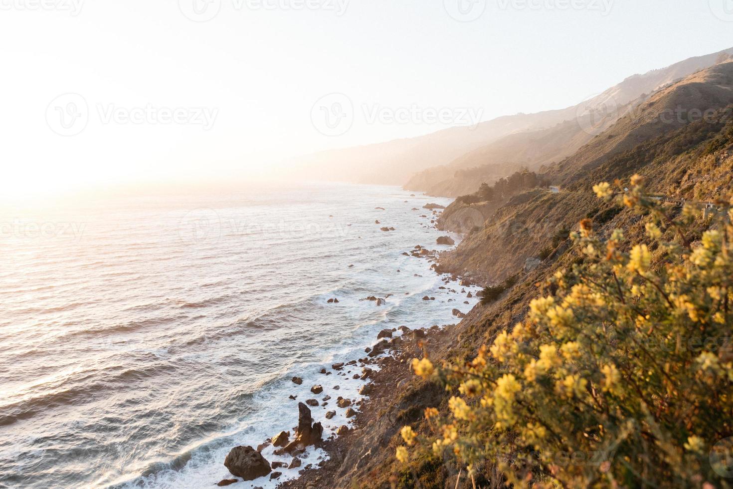 Flowers and ocean photo