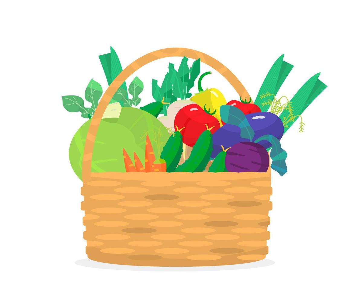 Vector illustration of wicker bascket with different vegetables. Cabbage, carrots, cucumbers, eggplant, radish, tomatoes, potatoes, leek, beet. Harvest illustration