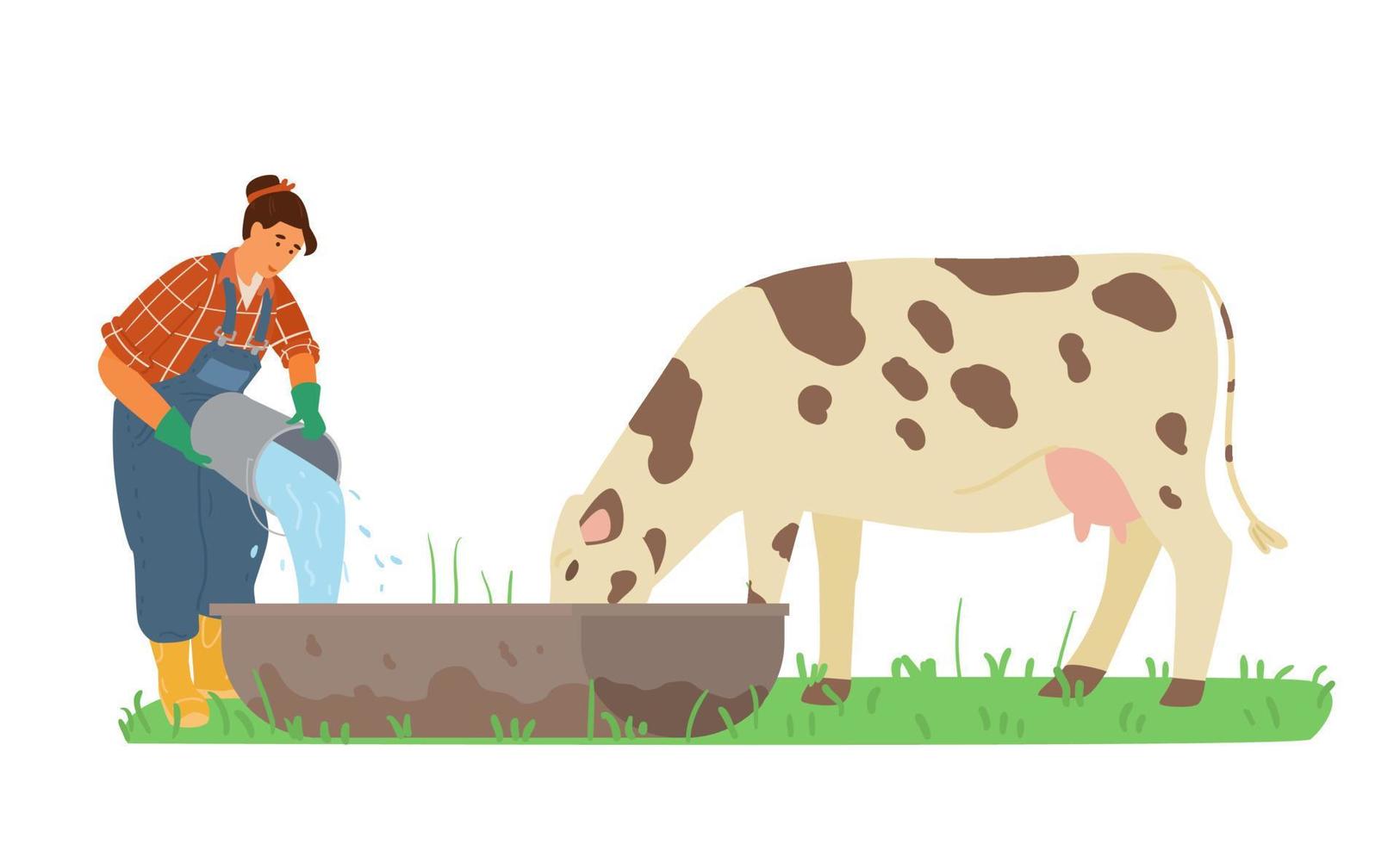 mujer agricultora que trabaja vierte agua a la vaca. ilustración vectorial vector