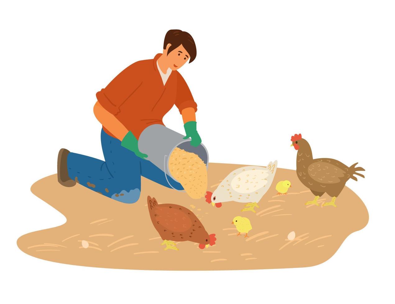 Woman Farmer Working Feeds Chicken With Gtains. Flat Vector Illustration.