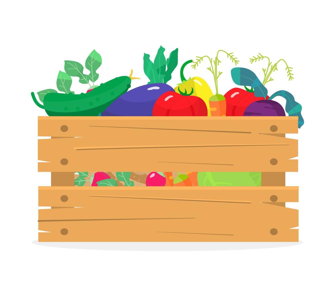 ilustración vectorial de caja de madera con diferentes verduras. repollo, zanahorias, pepinos, berenjenas, rábanos, tomates, patatas, puerros, remolachas. cosecha. vector