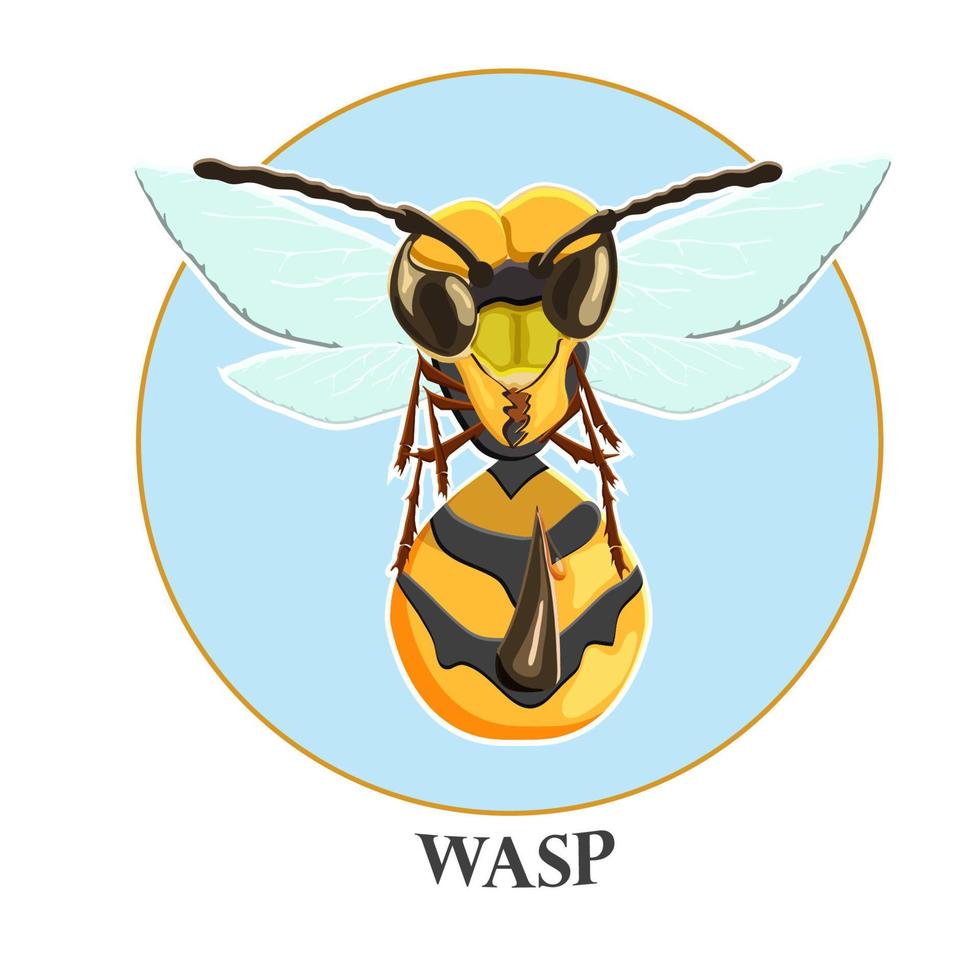 Wasp. Sticker wasp on a blue background and the inscription wasp. Vector flat illustration.