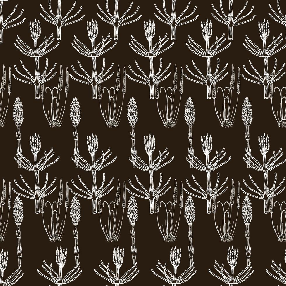 patrón botánico transparente en blanco y negro. ilustración floral dibujada a mano. vector