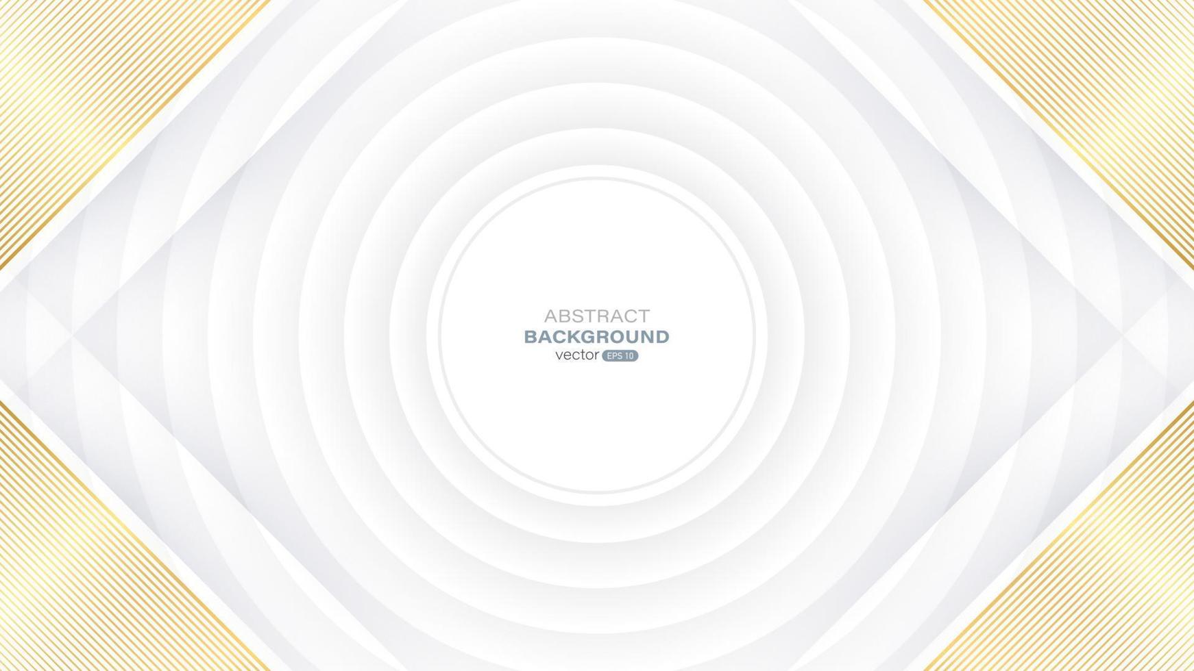 Abstract white circular layer with golden lines background vector