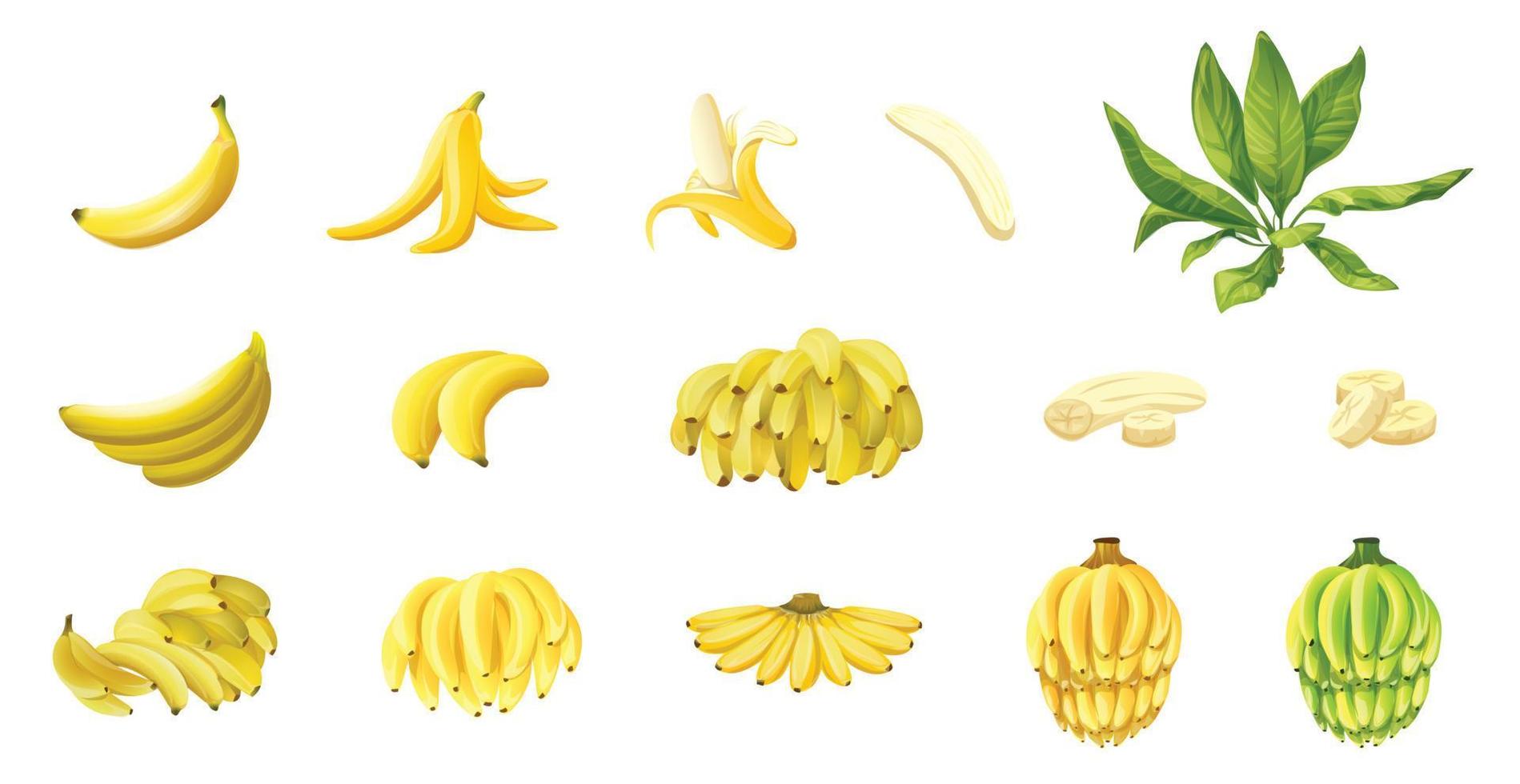 conjunto de iconos de plátano vector de dibujos animados. piel de mono