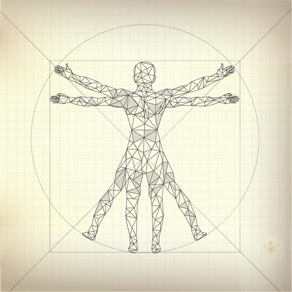 wireframe Vitruvian man vector