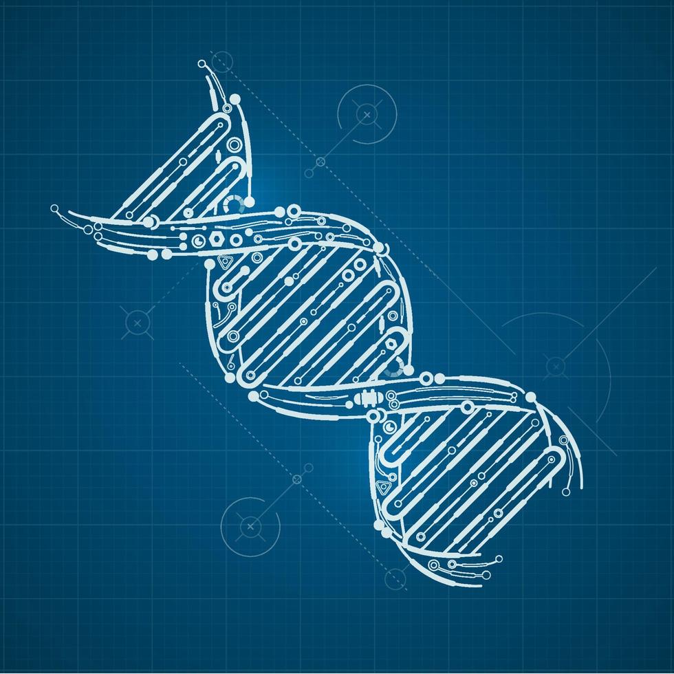 DNA analysis blueprint vector