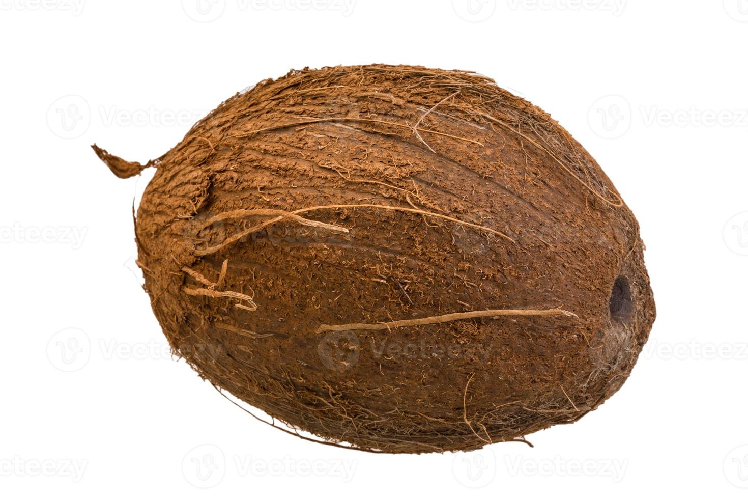 Coconut on white background photo