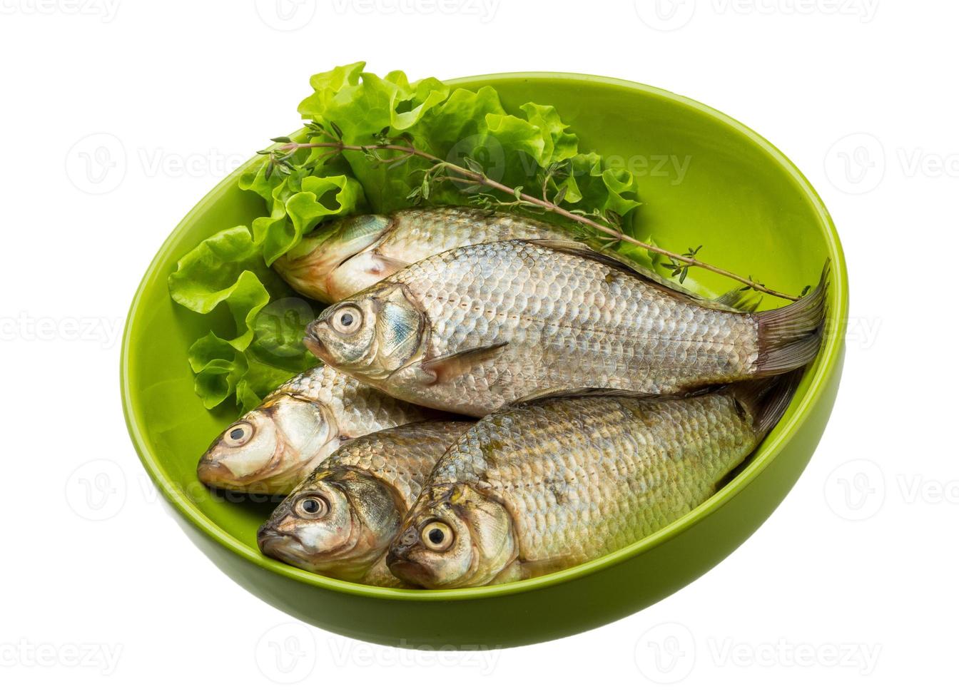 Crucian fish isolated on white background photo