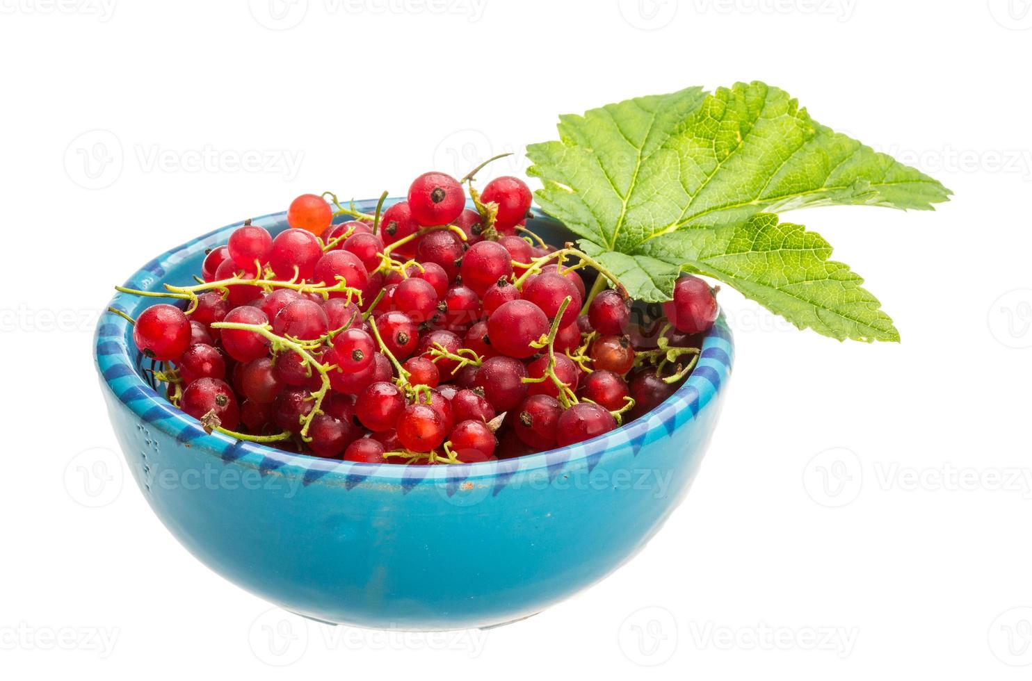 Red currant isolated on white background photo