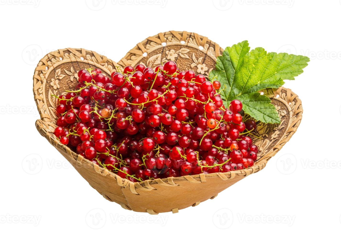 Red currant isolated on white background photo