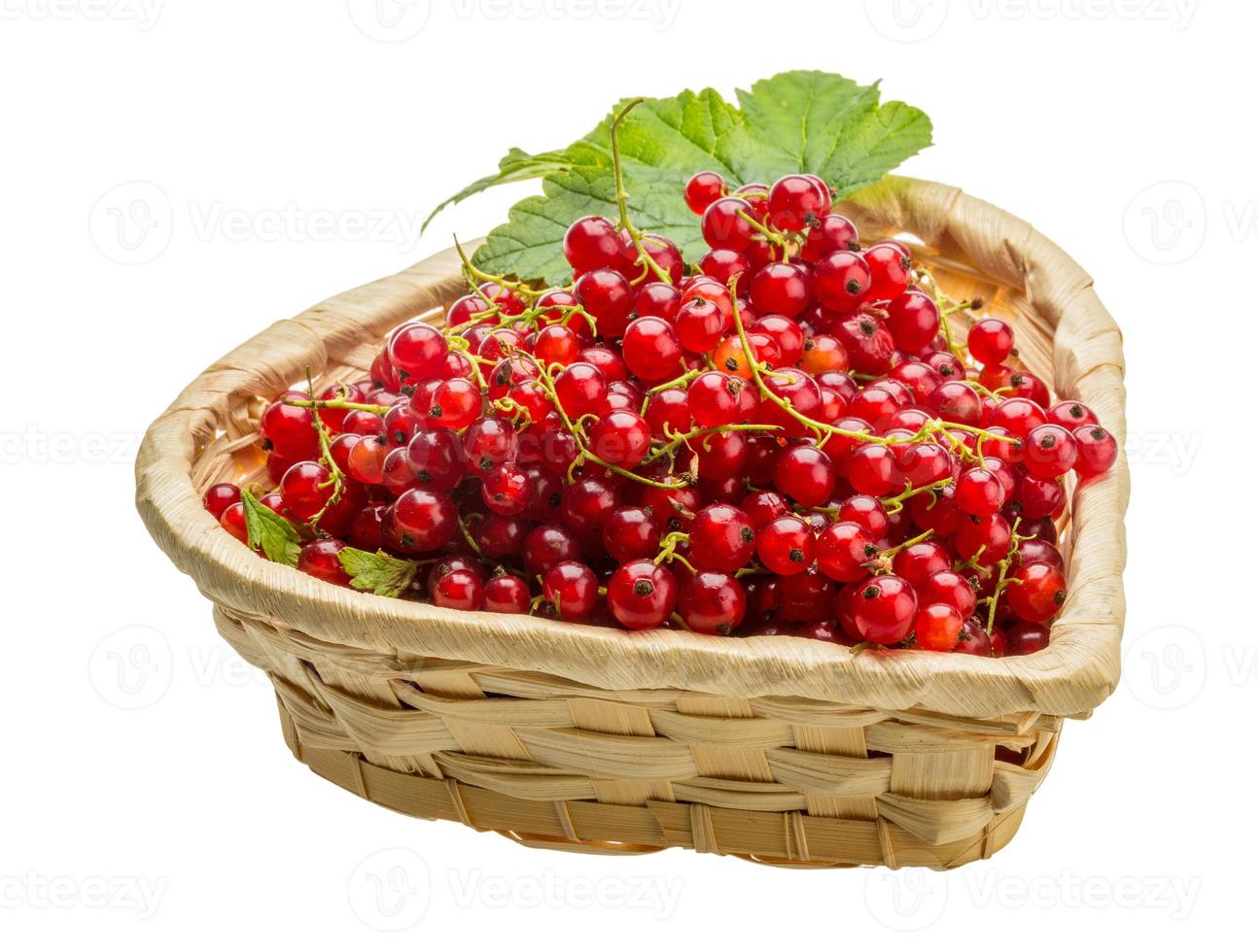 Red currant isolated on white background photo