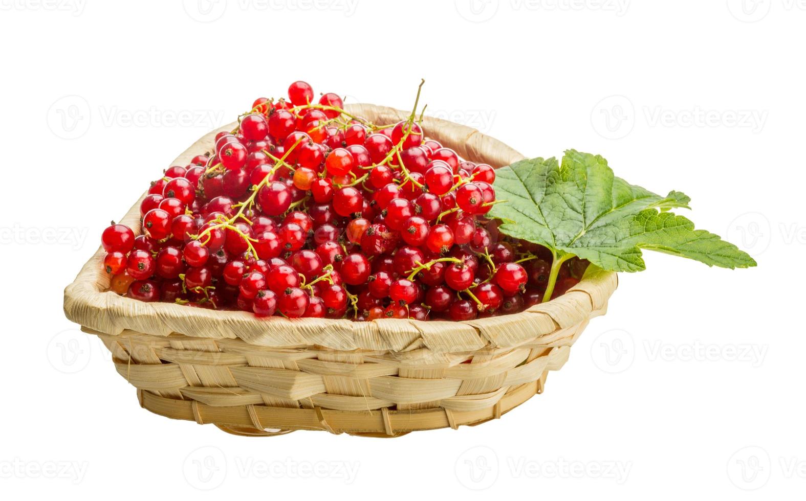 Red currant isolated on white background photo