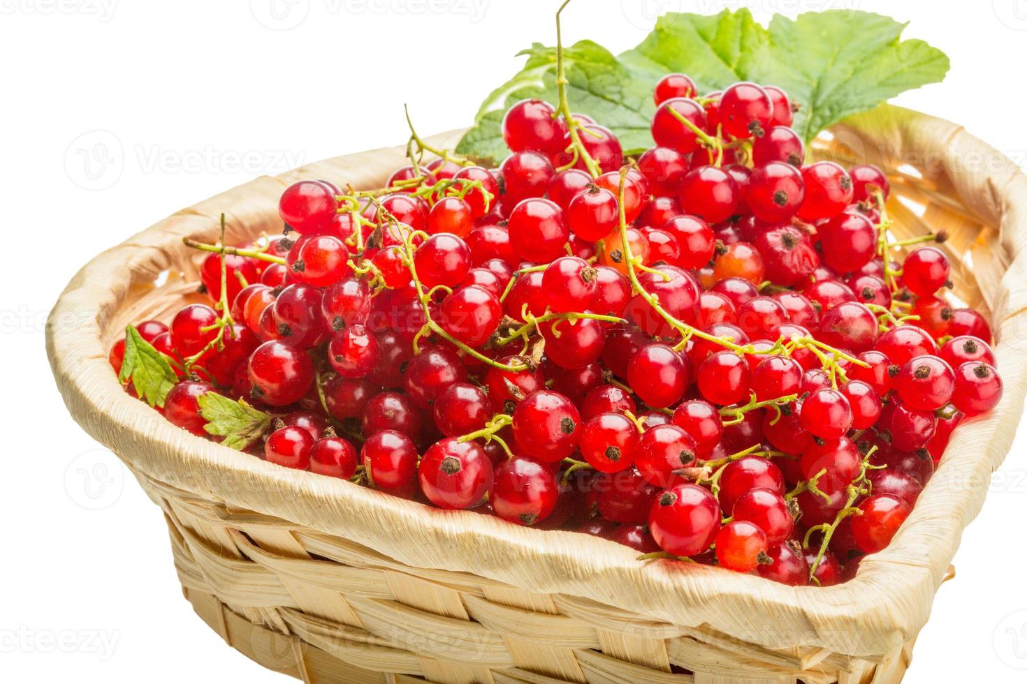 Red currant isolated on white background photo