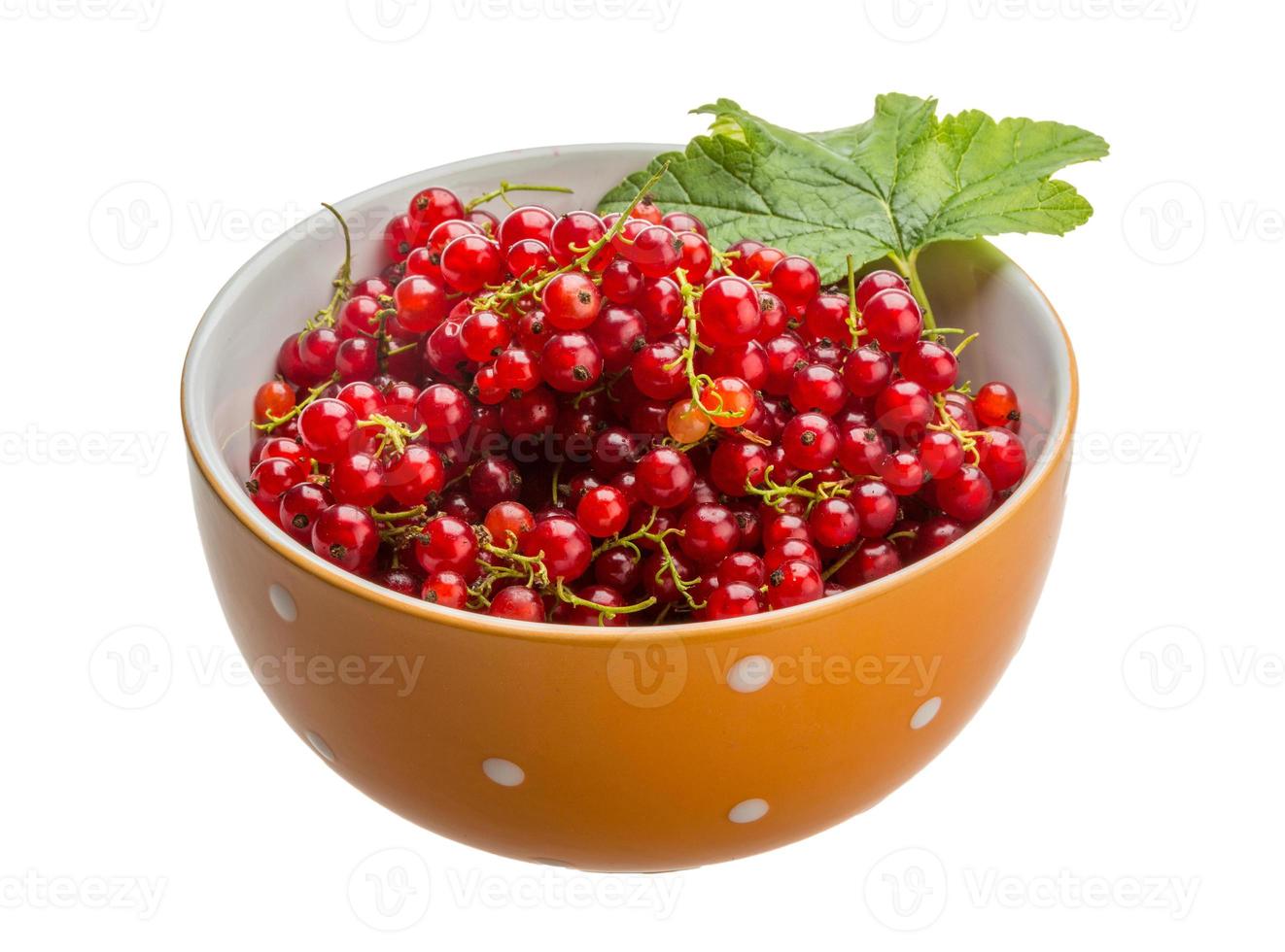 Red currant isolated on white background photo