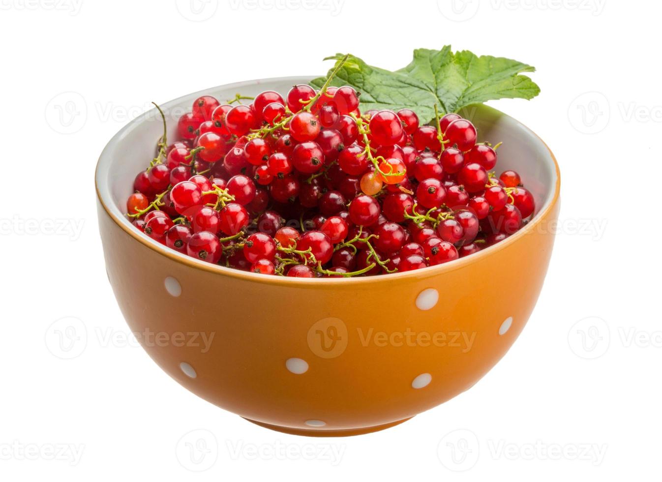 Red currant isolated on white background photo