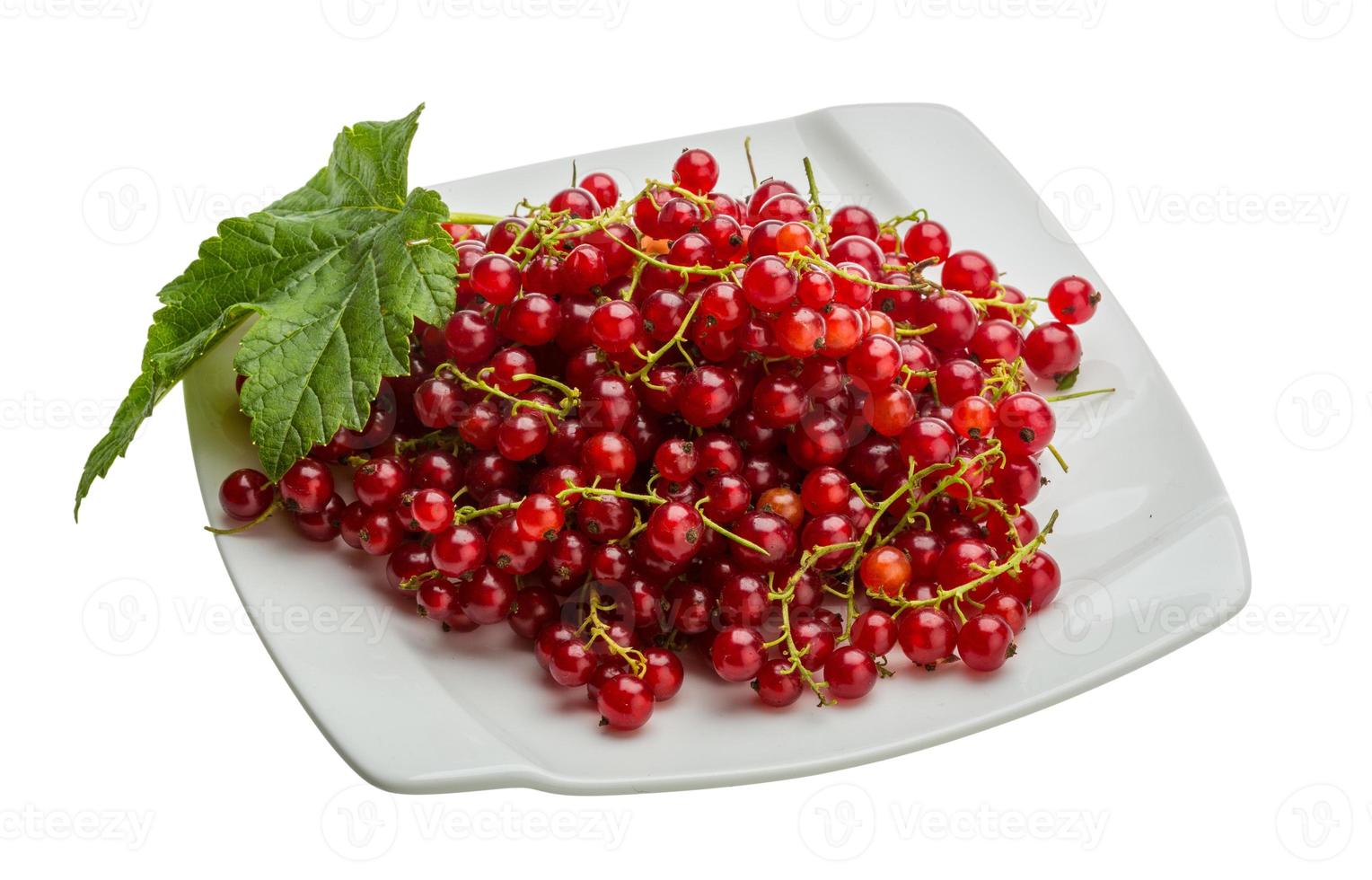 Red currant isolated on white background photo