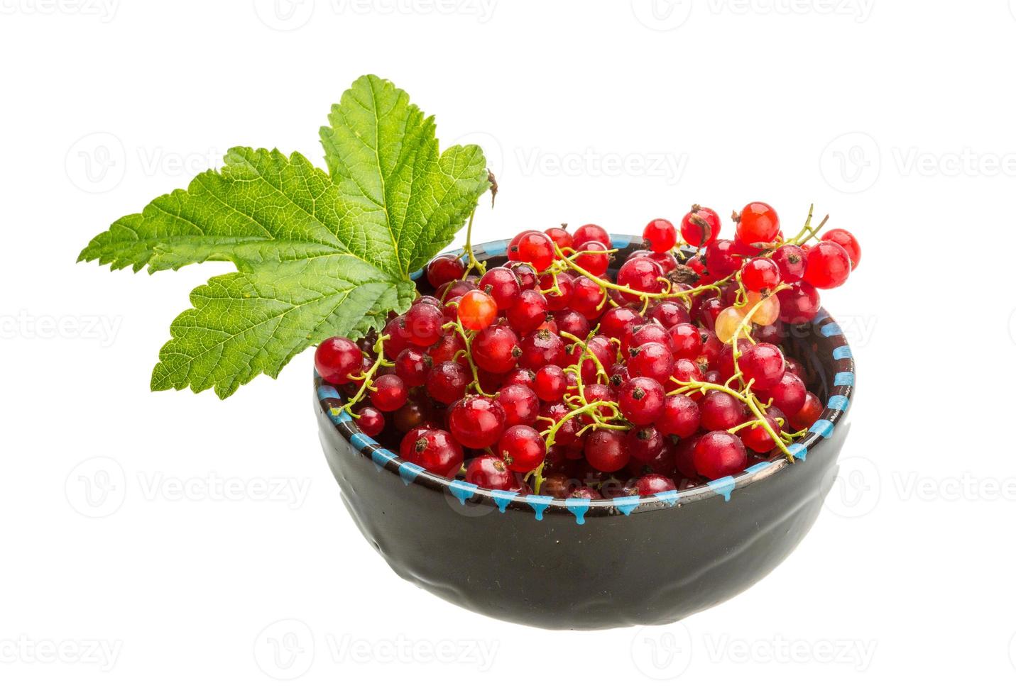 Red currant isolated on white background photo