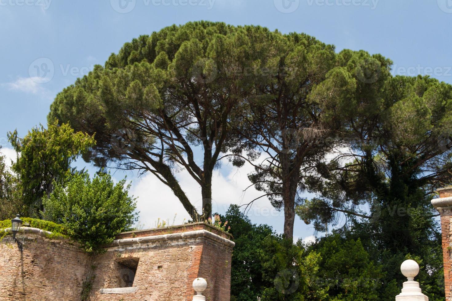 Rome, Italy. Typical architectural details of the old city photo