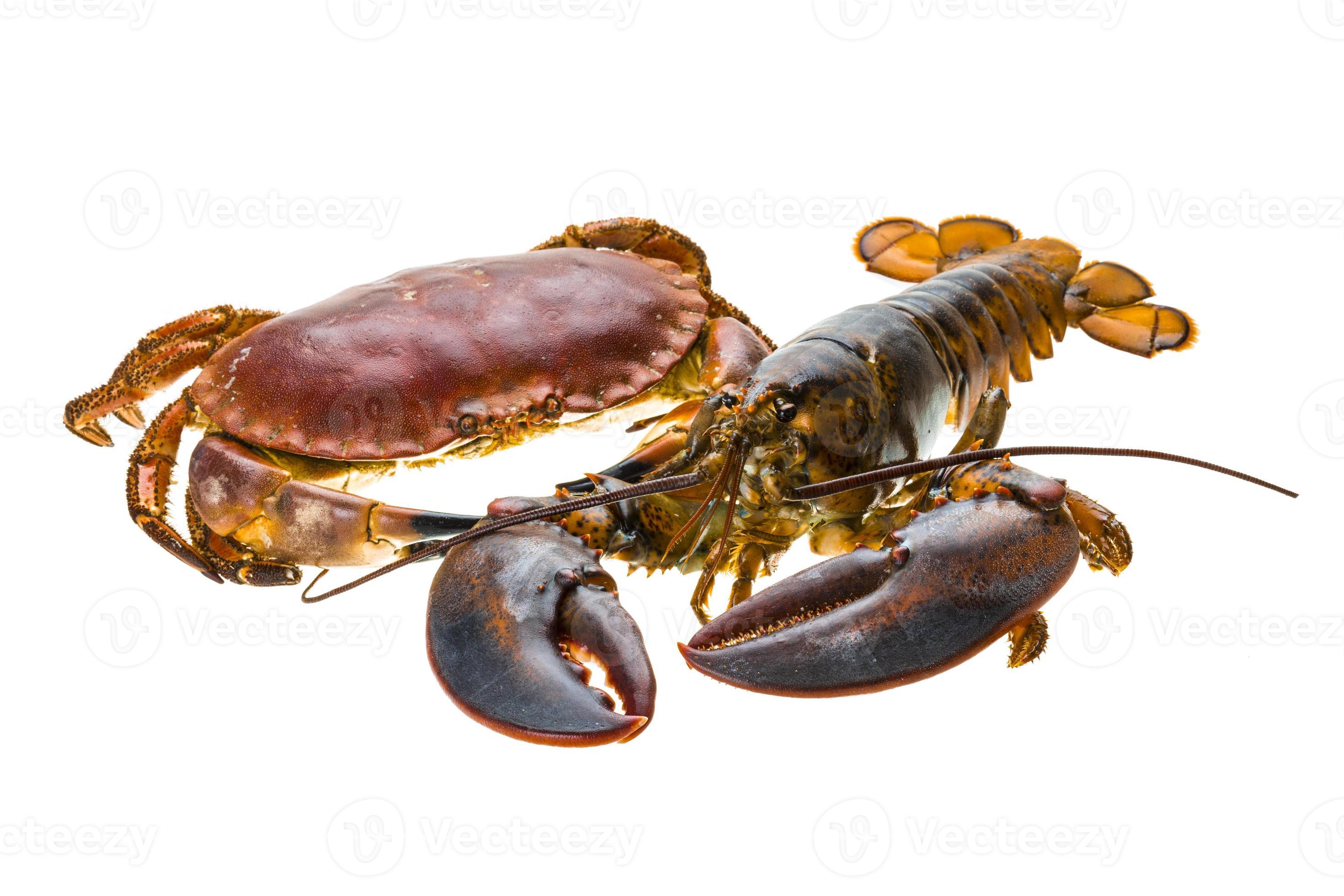 Raw Lobster and Crab 8911750 Stock Photo at Vecteezy