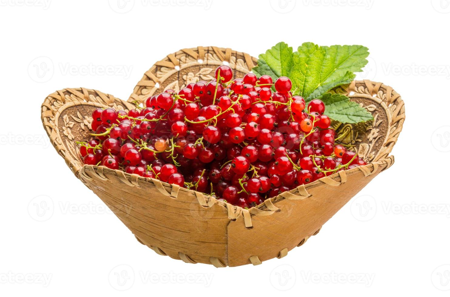 Red currant isolated on white background photo