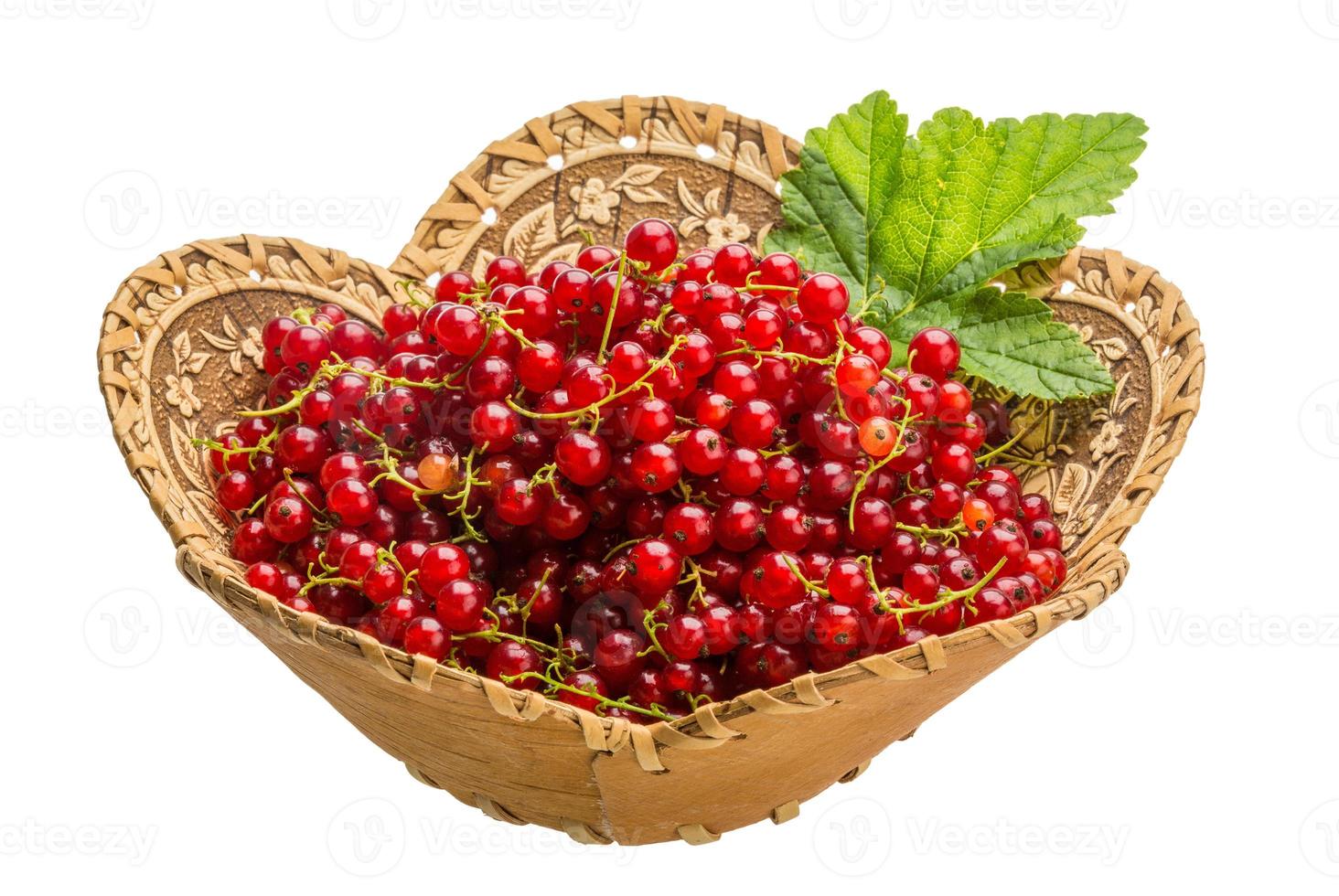 Red currant isolated on white background photo