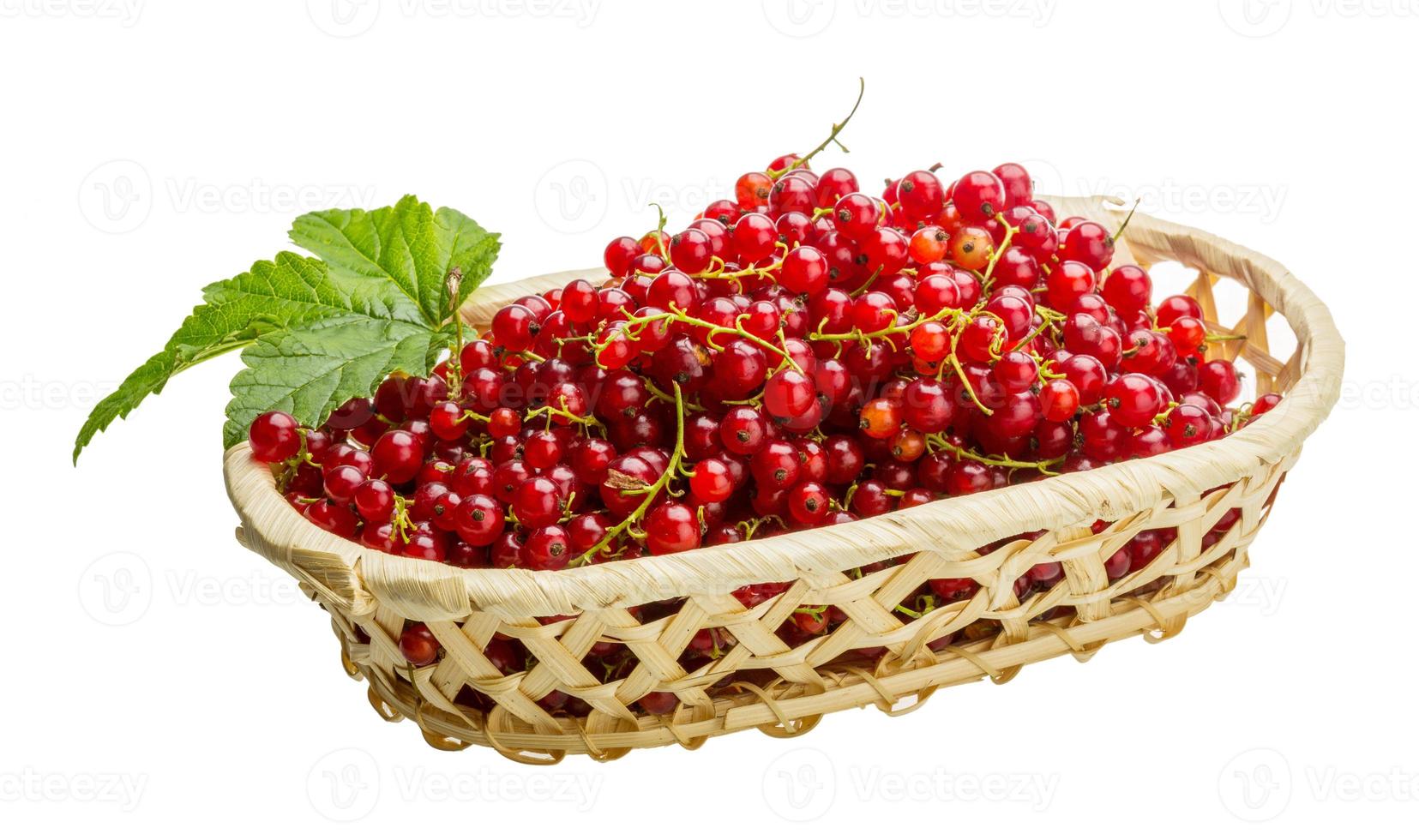 Red currant isolated on white background photo