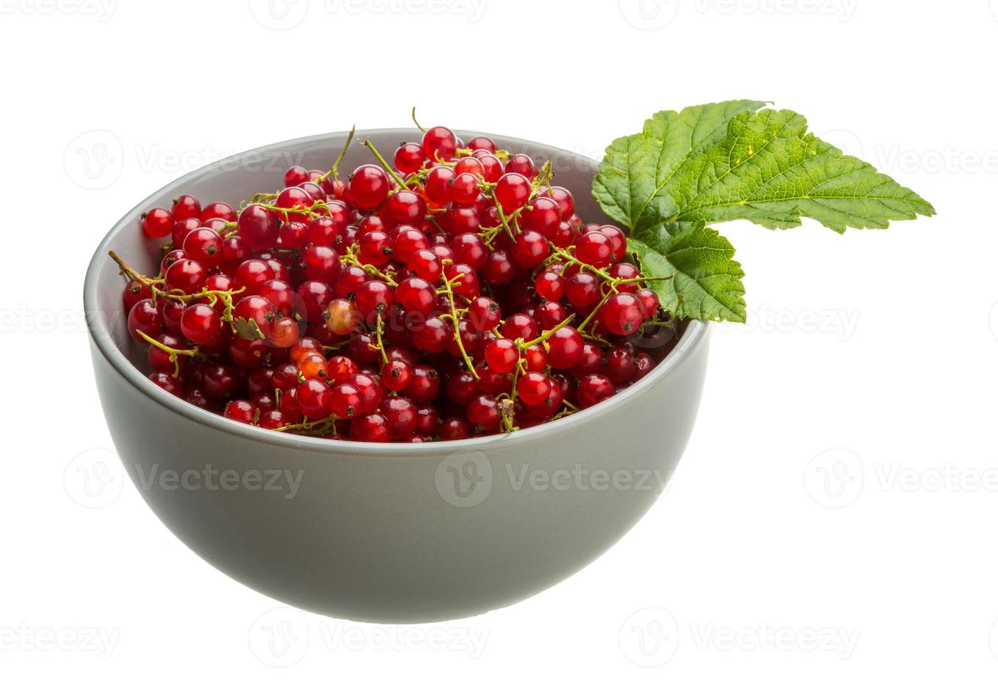 Red currant isolated on white background photo