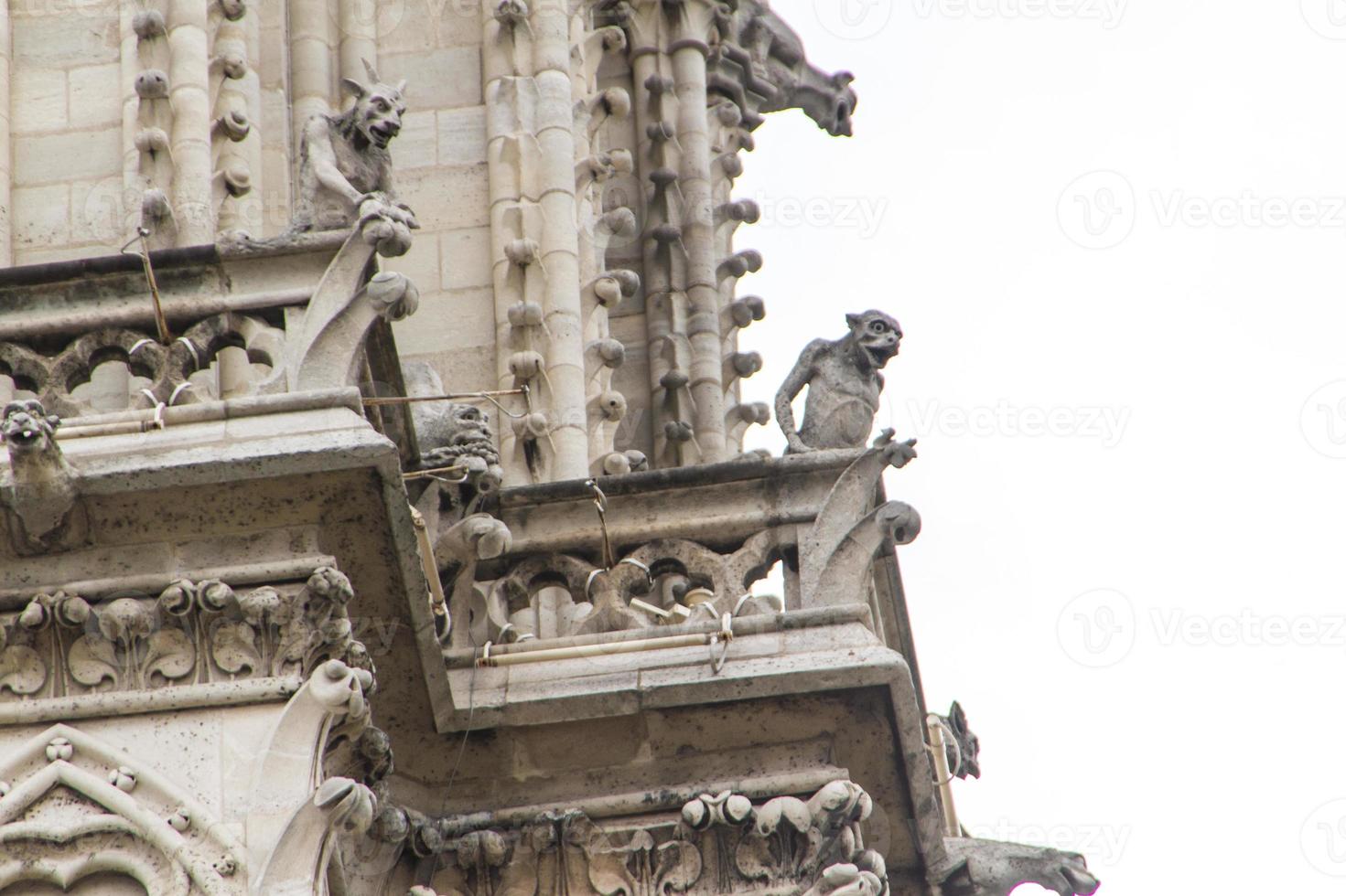 notre dame - parís vista de cerca foto