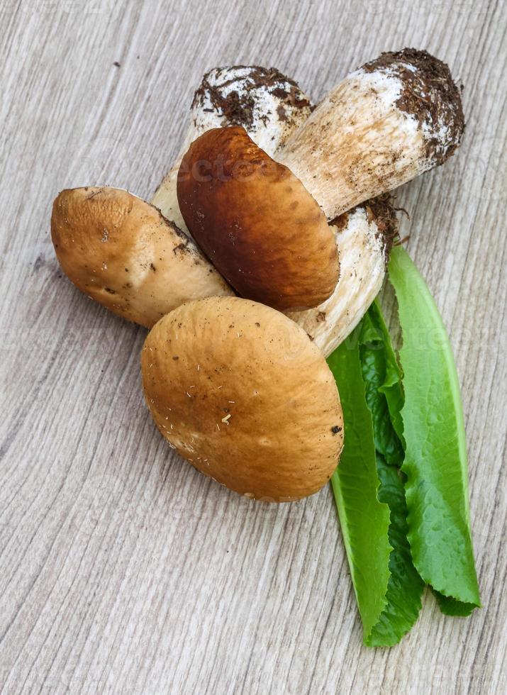 Mushrooms on wooden background photo