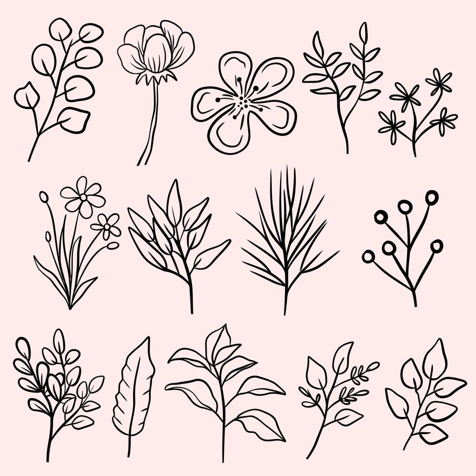 a set of handdrawn  botanical plant vector