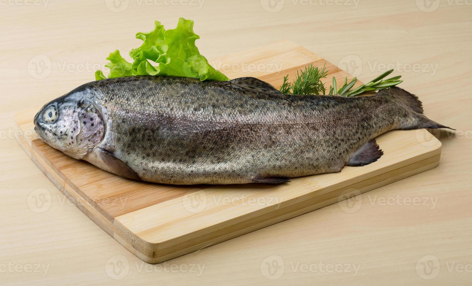 Raw fresh trout photo