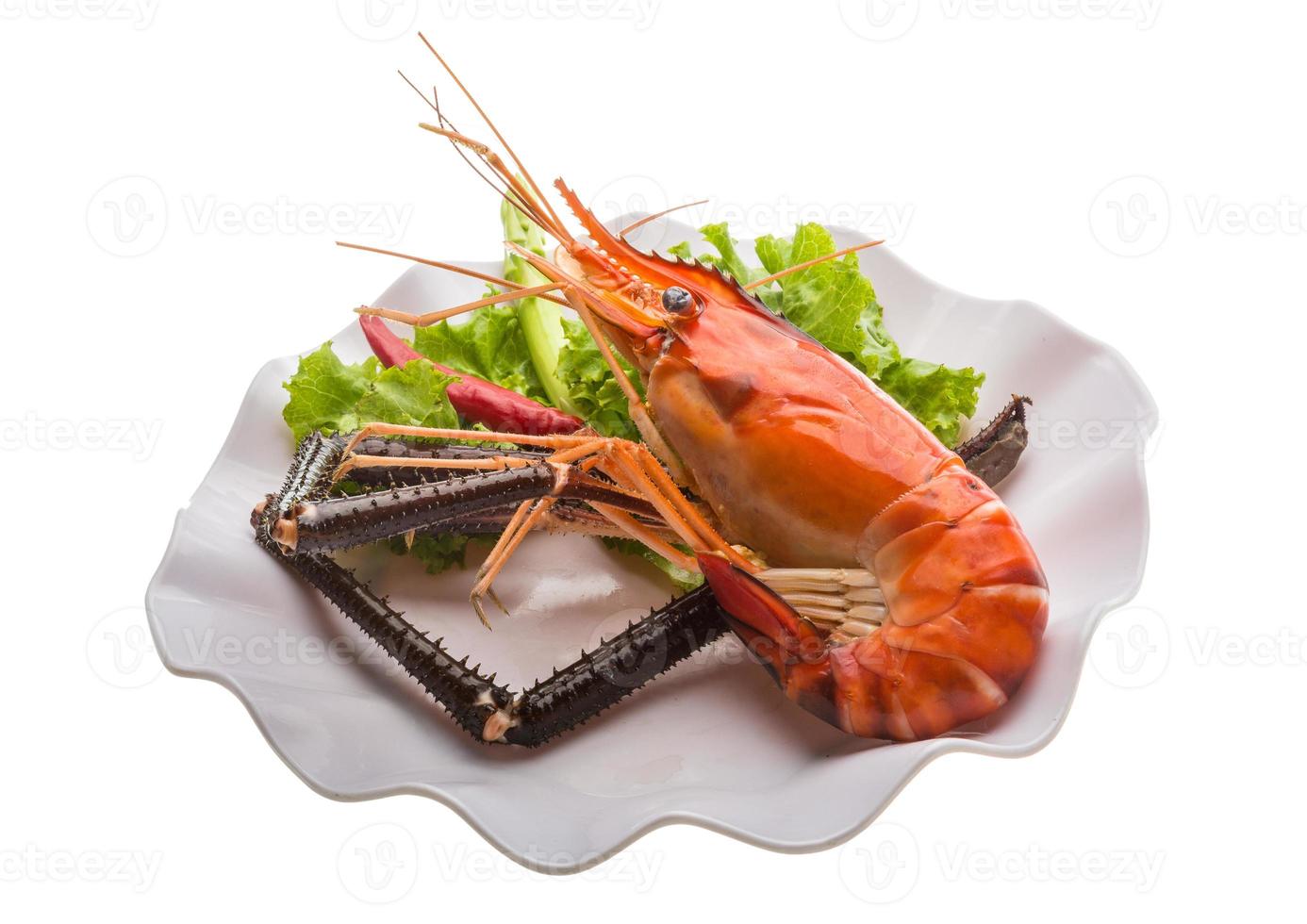 Giant Freshwater Prawn photo