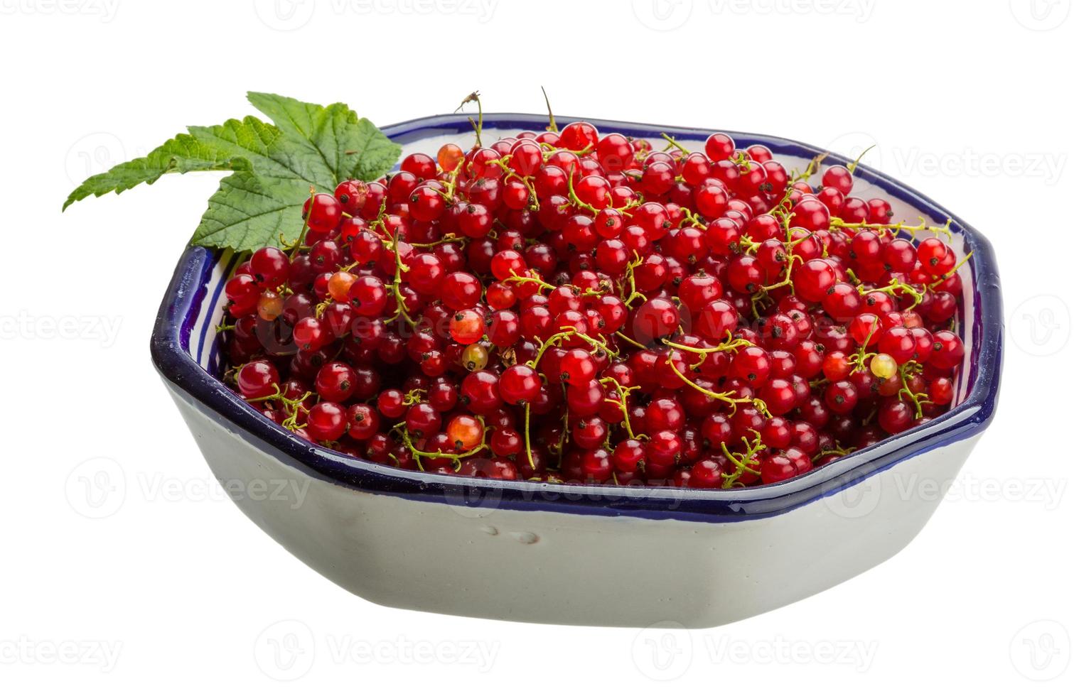 Red currant in a bowl on white background photo
