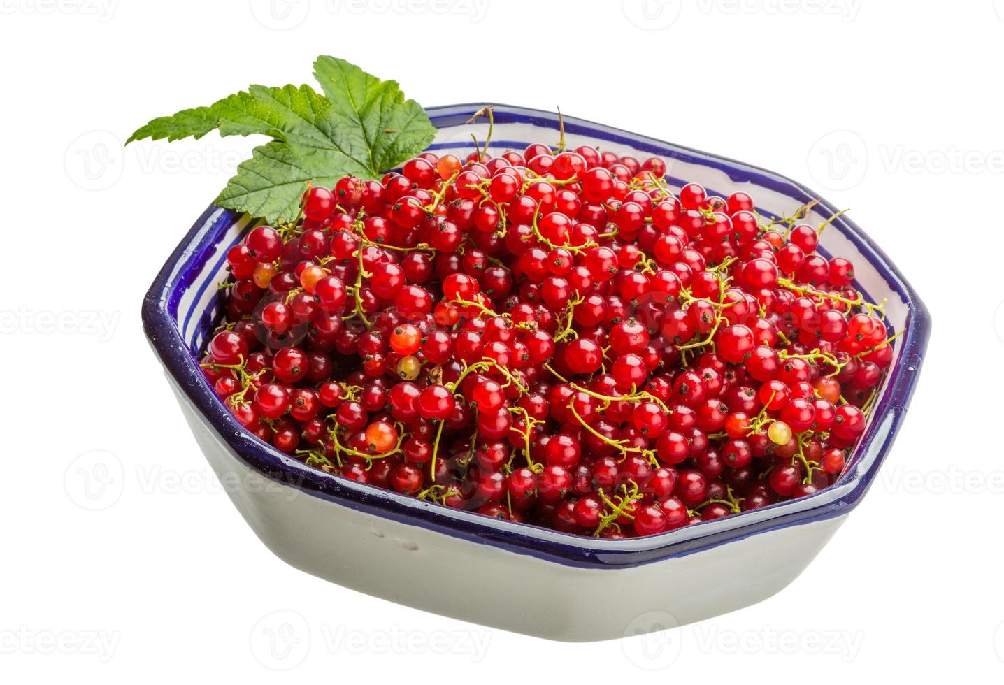 Red currant in a bowl on white background photo